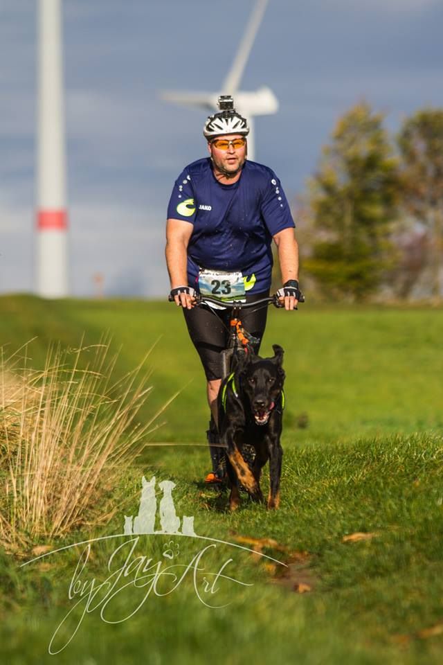 L'ami De La Campagne - Résultats de sport canine