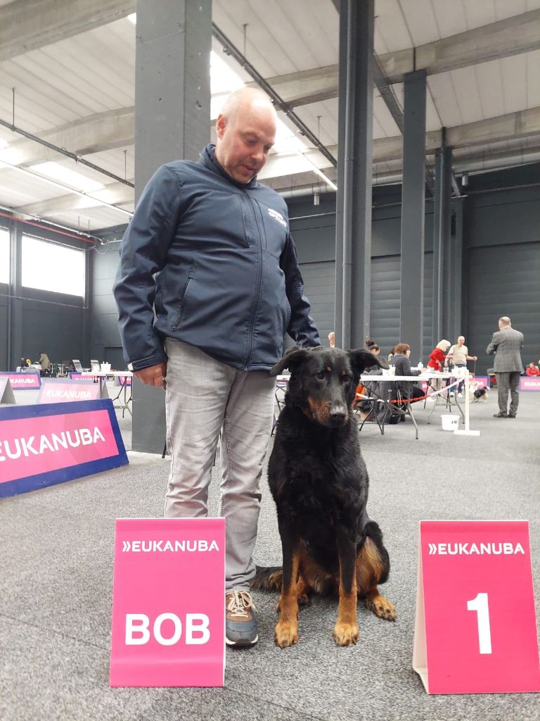 L'ami De La Campagne - Dogshow Antwerpen / Expo Anvers
