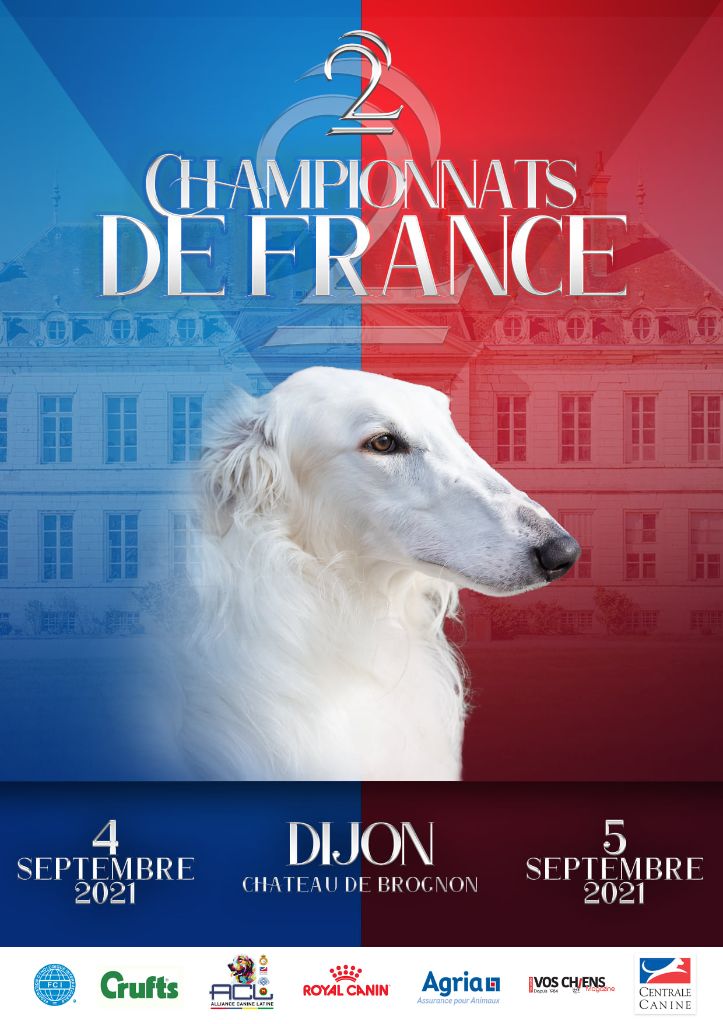 L'ami De La Campagne - Ch. de France Dijon.