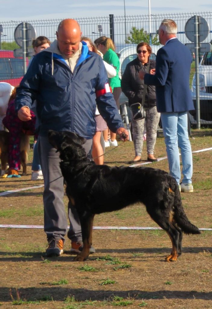 L'ami De La Campagne - Résultats expo Margny-les-Compiègne