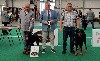  - Dogshow Bleiswijk