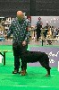  - Dogshow Maastricht 28/09/24