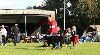  - Dogshow Zwolle Outdoor